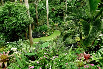 Barbados Shore Excursion: Plantation, Railway, Garden, and Distillery Tour