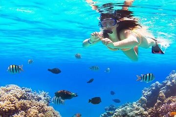 BVI Beach and Snorkel tour