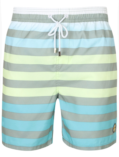 Swim Shorts Homestead Striped Swim Shorts In Wrought Iron - South Shore / XL - Tokyo Laundry