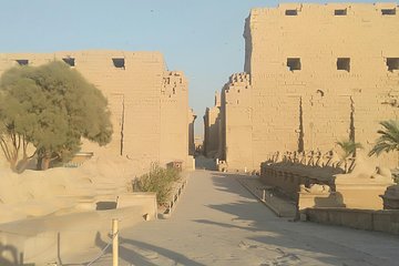 Luxor East bank half day tour