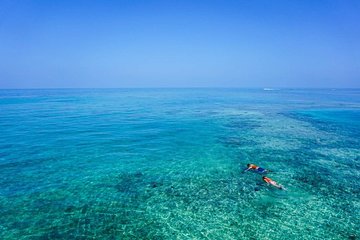 Turtle Town Snorkel with Photo and Video