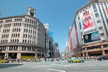 Private Tokyo Custom Shopping Tour by Chartered Vehicle
