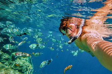 Save 15.00%! 3-Hour Private Pelican Rock Snorkeling