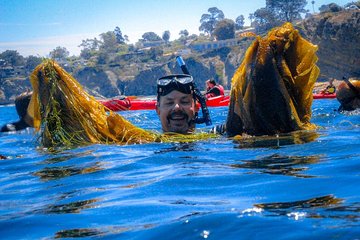 Kayak and Snorkel Tour