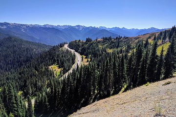 Olympic National Park Luxury Small-Group Day Tour with Lunch