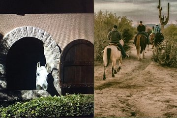 Scottsdale Horseback Riding and Horse Country Estate Tour