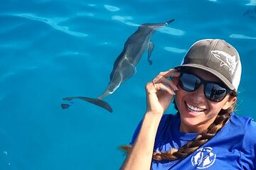 Dolphin Watch and Kealakekua Bay Snorkel