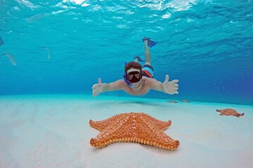 El Cielo the Breathtaking Snorkel Tour of Cozumel Cielito Beach & Lunch Included