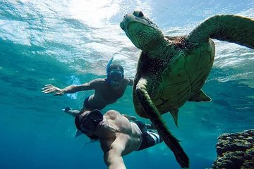 Vieques Snorkeling Tour from San Juan