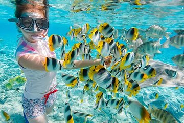 Mactan Island Hopping and Snorkeling