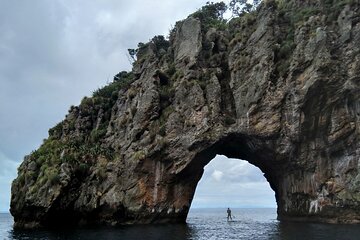 Private Charter 8 Hour Combo: Poor Knights Snorkel and Paddleboard with Fishing