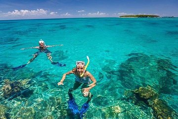 Dolphins, Snorkeling and Sandbank at Mnemba Island reef