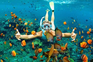 Private Snorkeling Guided Tour At Marine Protected Area Included Lunch
