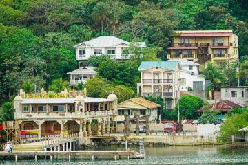 Roatan Shore Excursion:Small Group Tour With Dolphins, Snorkeling, By Land & Sea