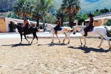 Field lesson for beginners