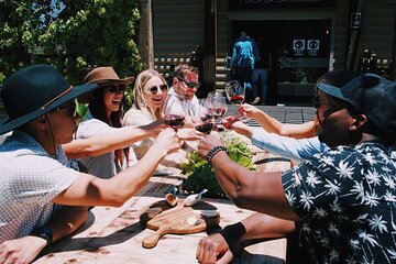 Private All-Inclusive Mexican Wine-Tasting Tour from San Diego