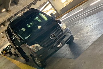 11 Passengers Van Port Canaveral to Mco ( Orlando Airport).