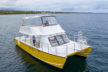5hr Private Powered Catamaran Snorkel and Beach Experience with Lunch