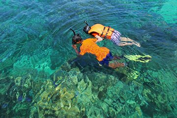 Discover the underwater life on an amazing SNORKELING TOUR to 3 reefs at COZUMEL