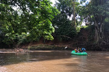Safari Float