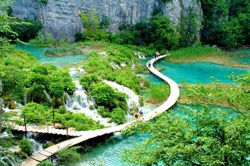 Da Nang to Bach Ma National Park with Local Guide