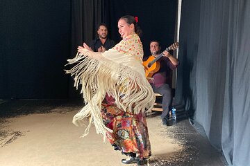 Flamenco show and dance class