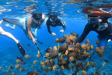 Nusa Penida One Day Tour with Snorkeling