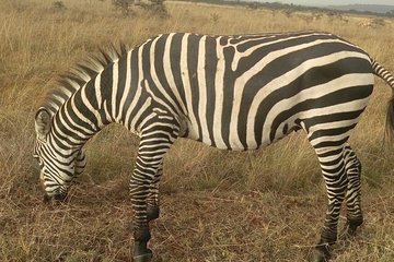 Lake Nakuru national park via Lake Naivasha