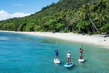 Fitzroy Island Stand Up Paddleboard and Snorkeling Day Trip from Cairns