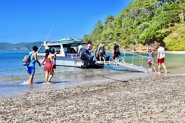 Afternoon Cruise & Island Tour - Scenic Cruise, Hike, Snorkel, Wildlife,