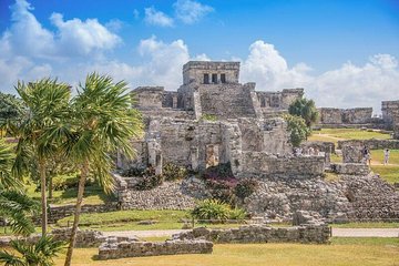 Tulum Guided Tour, Cenotes and Yal-kú Lagoon Snorkeling