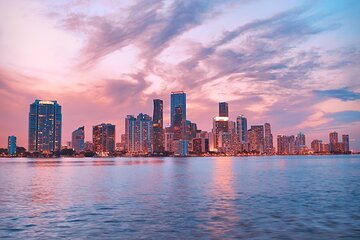 Scenic Miami Small-Group Night Tour with Skyview Wheel