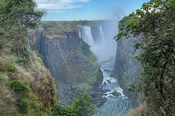 Guided tour of the Victoria Falls Rainforest
