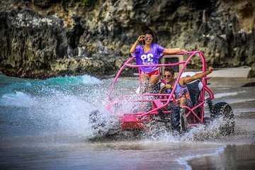 Discovery Package: Snorkeling Cruise and Dune buggy Adventure At Punta Cana