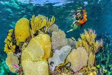 Snorkel Native Park - Park Admission Ticket for Reef Snorkel