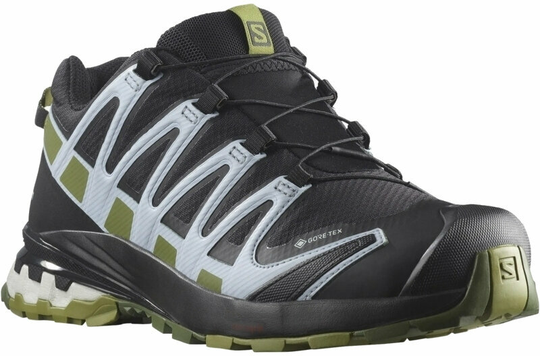 Salomon XA Pro 3D V8 GTX W Black/Green Moss/Zen Blue 39 1/3