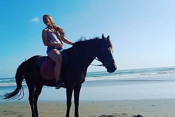 Bali 1 Hour Private Horse Riding In Seminyak Beach with Pickup
