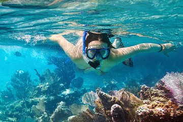Cozumel Snorkeling Tour: Palancar, Columbia and Cielo Reefs
