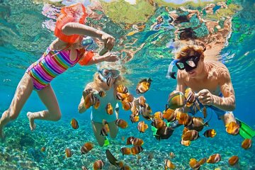 Snorkeling Trip to Giftun Island In Hurghada