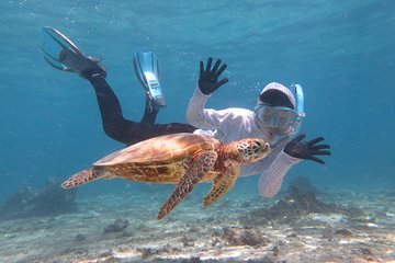 [Miyakojima Snorkel] Private tour from 2 people Let's look for sea turtles! Snorkel tour that can be enjoyed from 3 years old