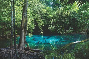 Kayaking in Ao Thalane - Discover the Mangrove life