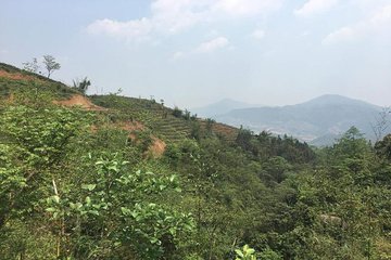 Mountain and Rice Terreces ( Hard Trek- T1A)