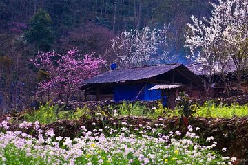 Private Tour: Hanoi - Ha Giang 3 days/2 nights