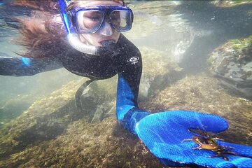 Snorkel Tour in Sandy Beach