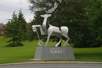 Private One Way or Round Trip Transfer: Heathrow Airport to Guildford