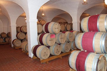 Fine Wines & Vines Full Day Tour