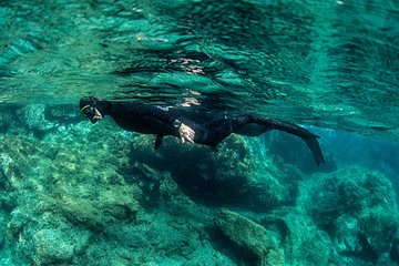 Wreck Snorkeling