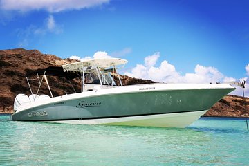 Captain Bob Speed Boat, Snorkeling, Beach Tour Including Lunch in St. Maarten