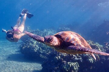 Lahaina Turtle Town Snorkel with Photo and Video