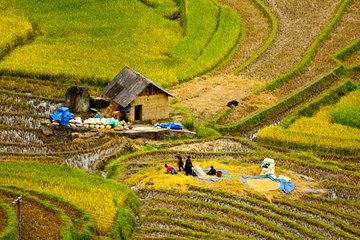 Sapa Hard Trekking villages 2D/1N: Homestay, Meals, English speaking guide